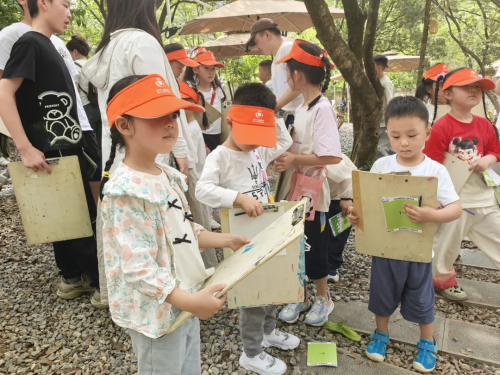竹够有趣！东篱小院的竹子集体要求当模特